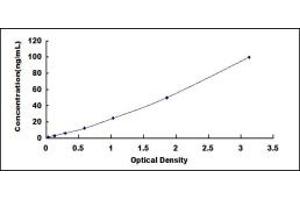 Typical standard curve (Septin 8 ELISA Kit)