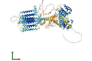 AlphaFold protein structure predicition of Mouse Recombinant Adcy8 Protein, UniprotID P97490 (ADCY8 Protein (AA 1-1249) (His tag))