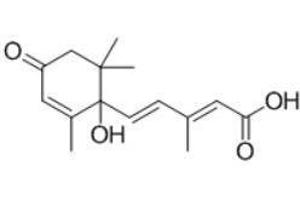 Image no. 3 for Abscisic Acid (ABA) peptide (BSA) (ABIN5665933) (Abscisic Acid (ABA) peptide (BSA))