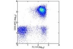 Image no. 1 for anti-Sialophorin (SPN) antibody (FITC) (ABIN474722) (CD43 antibody  (FITC))