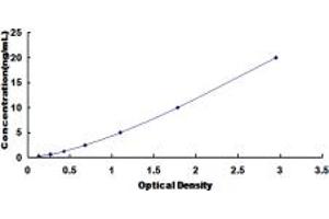 Typical standard curve (PDE10A ELISA Kit)