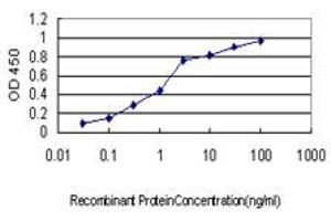 Detection limit for recombinant GST tagged CXCL1 is approximately 0. (CXCL1 antibody  (AA 36-107))