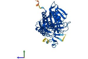 AlphaFold protein structure predicition of Mouse Recombinant Baat Protein, UniprotID Q91X34