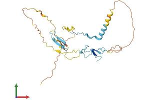 AlphaFold protein structure predicition of Mouse Recombinant Grxcr2 Protein, UniprotID Q3TYR5 (GRXCR2 Protein (AA 1-254) (His tag))
