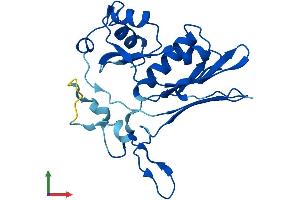 AlphaFold protein structure predicition of Human Recombinant GGTLC3 Protein, UniprotID B5MD39 (GGTLC3 Protein (AA 1-225) (His tag))