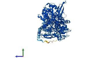 Protein Structure (PS) image for Aldehyde Dehydrogenase 1 Family, Member L1 (ALDH1L1) (AA 1-902) protein (His tag) (ABIN7559647)