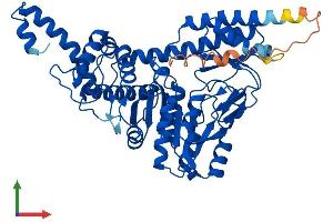 Protein Structure (PS) image for Sep (O-phosphoserine) tRNA:Sec (Selenocysteine) tRNA Synthase (SEPSECS) (AA 1-501) protein (His tag) (ABIN7546407)