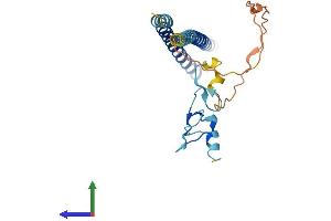 Protein Structure (PS) image for Inhibitor of Growth Family, Member 4 (ING4) (AA 1-249) protein (His tag) (ABIN7559068)