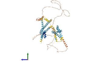 AlphaFold protein structure predicition of Mouse Recombinant Catsper1 Protein, UniprotID Q91ZR5 (CATSPER1 Protein (AA 1-686) (His tag))