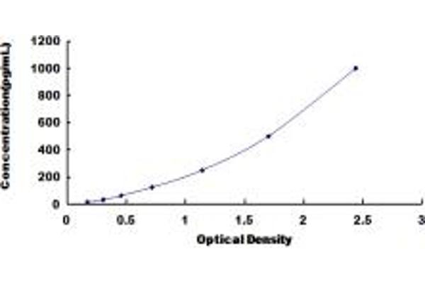 IFNA10 ELISA Kit