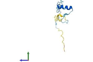 AlphaFold protein structure predicition of Mouse Recombinant Mustn1 Protein, UniprotID Q99JI1