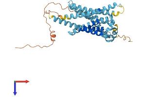 AlphaFold protein structure predicition of Human Recombinant GPR148 Protein, UniprotID Q8TDV2 (GPR148 Protein (AA 1-347) (His tag))