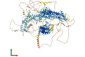 AlphaFold protein structure predicition of Human Recombinant MAP3K4 Protein, UniprotID Q9Y6R4