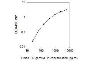 IFNGR1 ELISA Kit