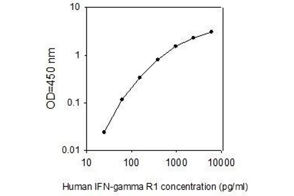 IFNGR1 ELISA Kit