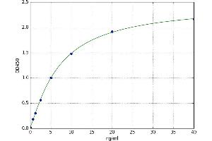 Lecithin-Cholesterol Acyltransferase (LCAT) ELISA Kit