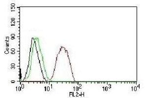 FACS testing of MCF-7 cells:  Black=cells alone; Green=isotype control; Red=Estrogen Receptor beta antibody PE conjugate (ESR2 antibody  (C-Term))