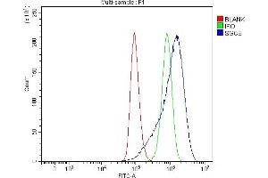 Flow Cytometry analysis of A549 cells using anti-SGCE antibody (ABIN7601544). (SGCE antibody  (AA 38-407))