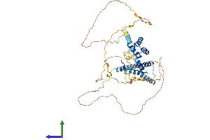 Protein Structure (PS) image for Meis Homeobox 2 (MEIS2) (AA 1-477) protein (His tag) (ABIN7563544)
