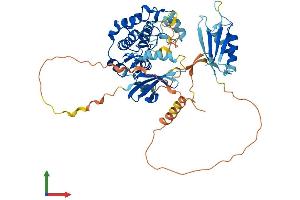 Protein Structure (PS) image for serine threonine Kinase 39 (STK39) (AA 1-545) protein (His tag) (ABIN7546399)