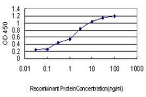 ELISA image for anti-Pre-B-Cell Leukemia Homeobox Protein 1 (PBX1) (AA 213-322) antibody (ABIN598855) (PBX1 antibody  (AA 213-322))