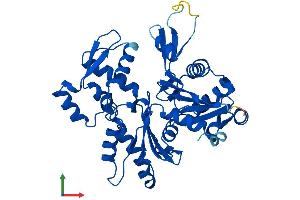 AlphaFold protein structure predicition of Human Recombinant ACTG1 Protein, UniprotID P63261