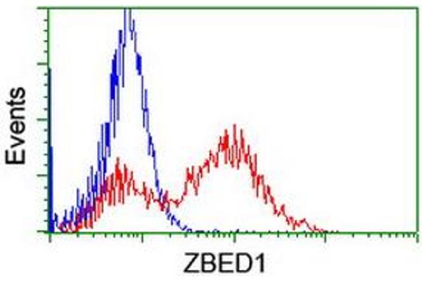 ZBED1 antibody