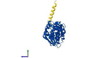 AlphaFold protein structure predicition of Mouse Recombinant Dimt1 Protein, UniprotID Q9D0D4 (DIMT1 Protein (AA 1-313) (His tag))