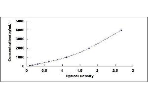 Defensin, beta 1 (DEFB1) ELISA Kit