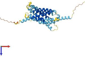 AlphaFold protein structure predicition of Mouse Recombinant Mrgprb3 Protein, UniprotID Q91ZC1 (Mrgprb3 Protein (AA 1-312) (His tag))
