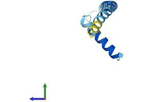 AlphaFold protein structure predicition of Human Recombinant SPTSSB Protein, UniprotID Q8NFR3