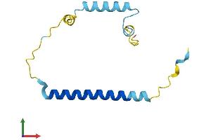 AlphaFold protein structure predicition of Human Recombinant C4orf36 Protein, UniprotID Q96KX1 (C4ORF36 Protein (AA 1-117) (His tag))