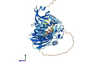 Protein Structure (PS) image for Calcium/calmodulin-Dependent Protein Kinase II alpha (CAMK2A) (AA 1-478) protein (His tag) (ABIN7548626)