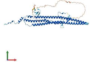 AlphaFold protein structure predicition of Mouse Recombinant Gas7 Protein, UniprotID Q60780 (GAS7 Protein (AA 1-421) (His tag))