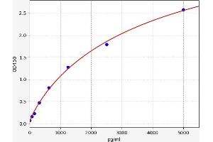 FTH1 ELISA Kit