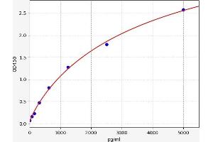 Typical standard curve (FTH1 ELISA Kit)