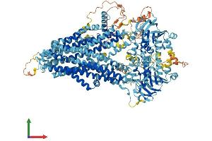 AlphaFold protein structure predicition of Human Recombinant ABCC11 Protein, UniprotID Q96J66