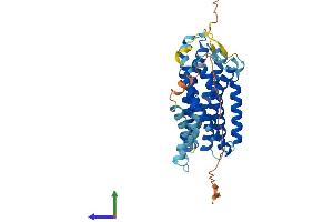 AlphaFold protein structure predicition of Human Recombinant GPR4 Protein, UniprotID P46093 (GPR4 Protein (AA 1-362) (His tag))