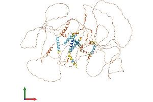 AlphaFold protein structure predicition of Mouse Recombinant Spata31 Protein, UniprotID E9QAF0 (Spata31 Protein (AA 1-1014) (His tag))
