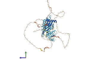 AlphaFold protein structure predicition of Human Recombinant HPS4 Protein, UniprotID Q9NQG7 (HPS4 Protein (AA 1-708) (His tag))