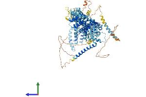 Protein Structure (PS) image for Eukaryotic Translation Initiation Factor 3 Subunit C (EIF3C) (AA 1-911) protein (His tag) (ABIN7564689)