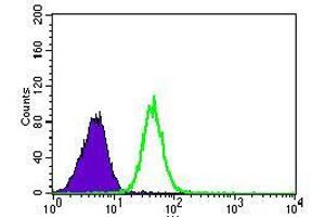 Flow cytometric analysis of HeLa cells using PSAP mouse mAb (green) and negative control (purple). (Prosaposin antibody  (AA 325-524))