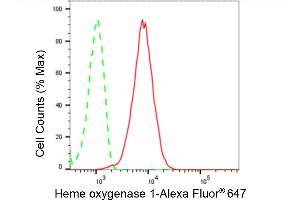 Flow cytometric analysis of Heme oxygenase 1 expression in HepG2 cells using Heme oxygenase 1 antibody (ABIN7798884), 1:2,000).