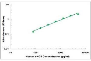 Representative Standard Curve (ENOS ELISA Kit)