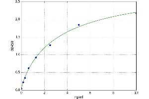 Luteinizing Hormone/Choriogonadotropin Receptor (LHCGR) ELISA Kit