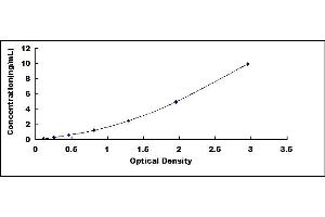 Typical standard curve (NT5C ELISA Kit)