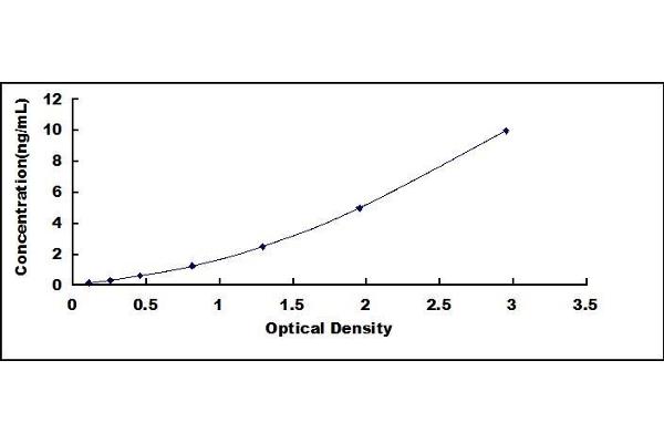 NT5C ELISA Kit