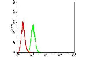 Flow cytometric analysis of Hela cells using BCL2L2 mouse mAb (green) and negative control (red). (BCL2L2 antibody  (AA 6-118))
