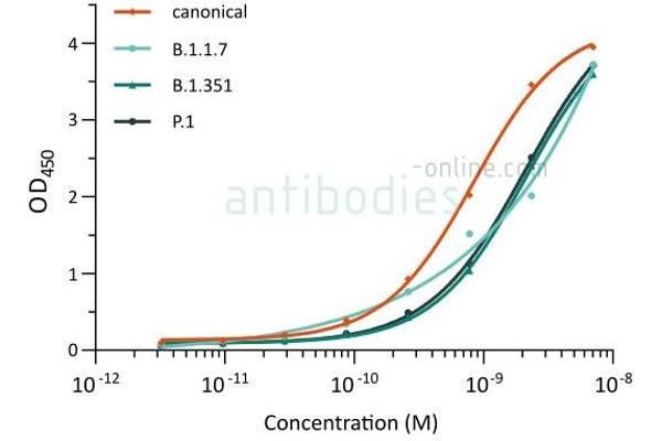 SARS-CoV-2 Spike antibody