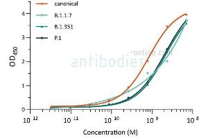 Direct ELISA of SARS-CoV-2 variant proteins with anti-SARS-CoV-2 Spike S1 antibody ABIN6952962.